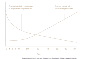 Early Childhood And The Developing Brain Cfec